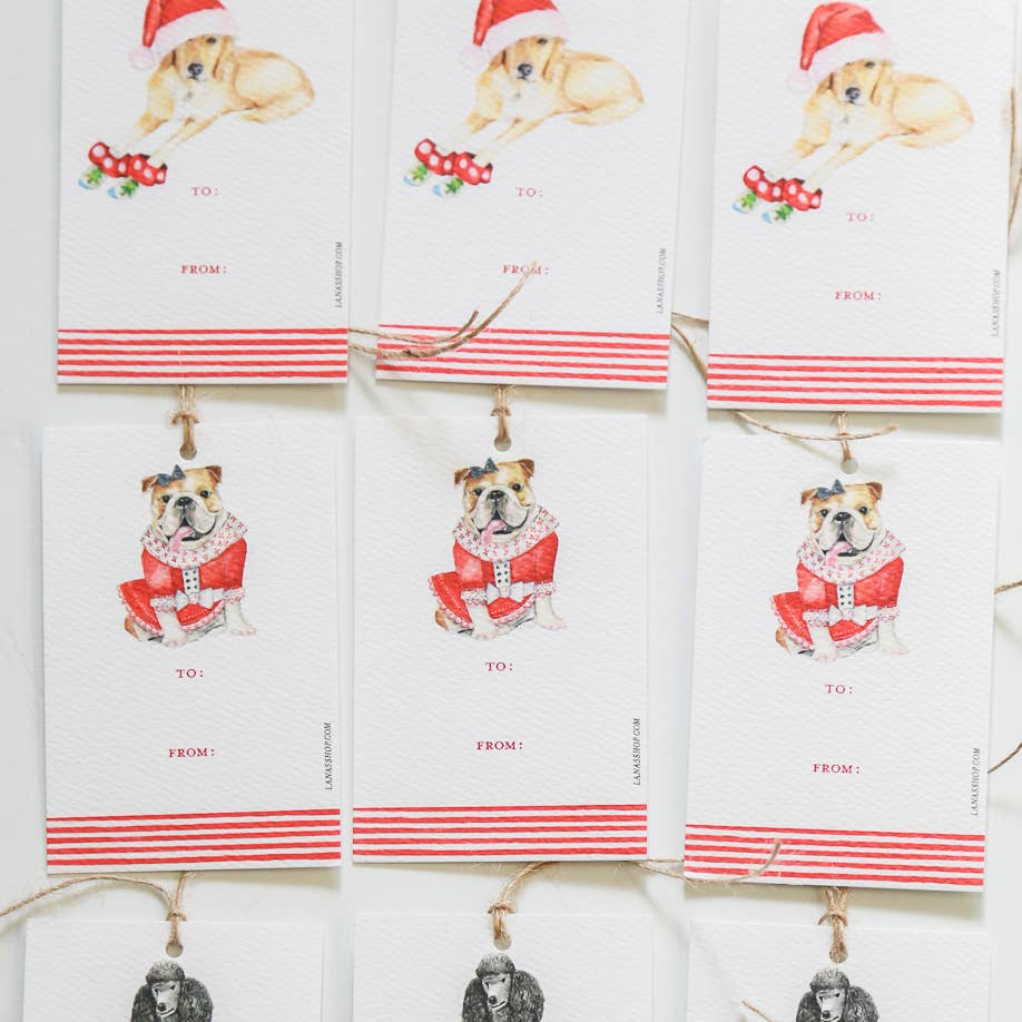 Christmas Dog Variety Gift Tag - Box Set