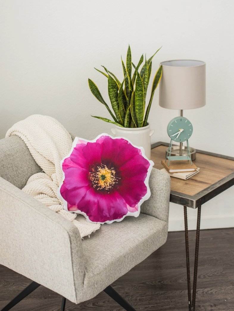 Hedgehog Cactus Flower Pillow