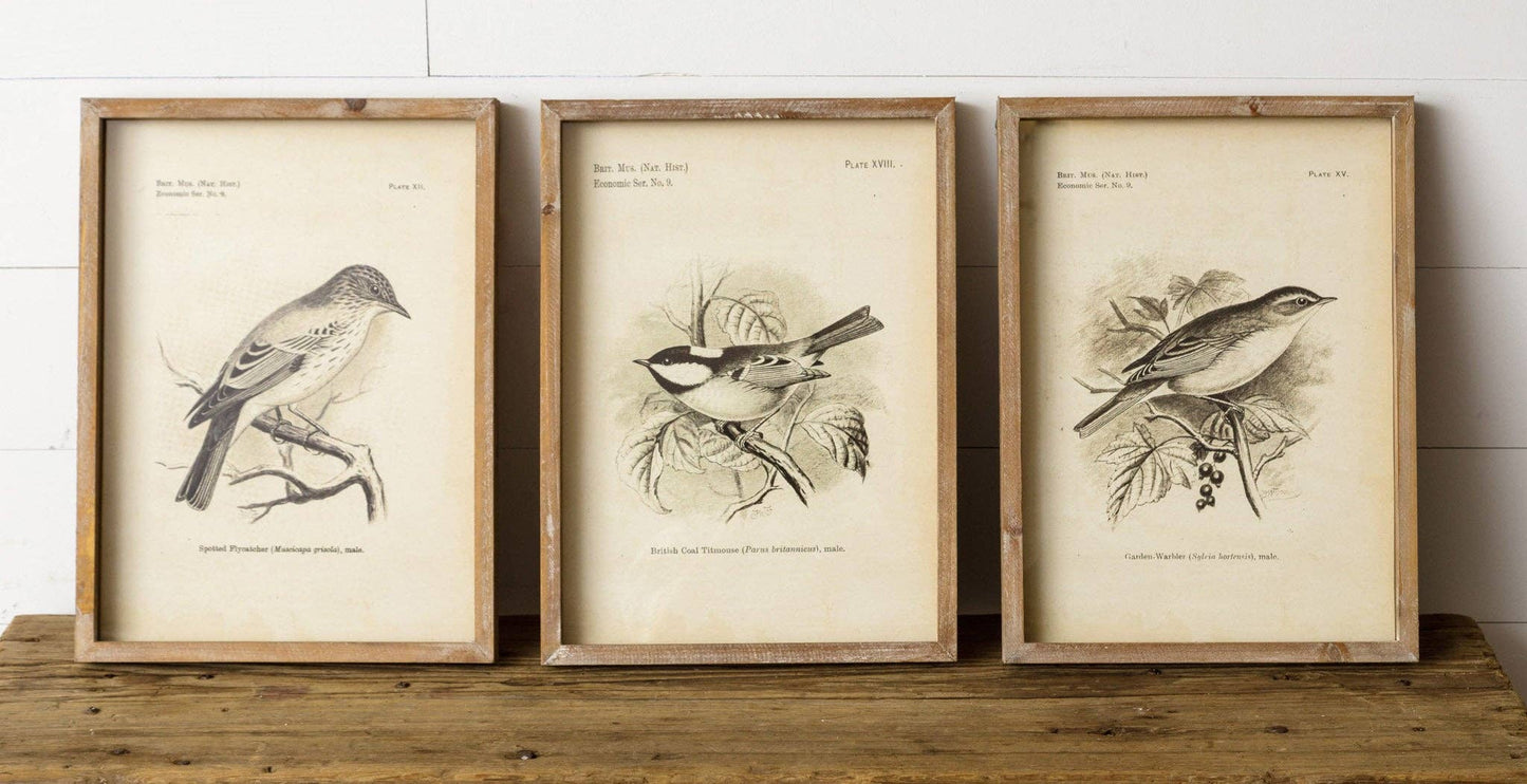 Fur Wood Framed Vintage Bird Prints – 15.75” x 11.75”