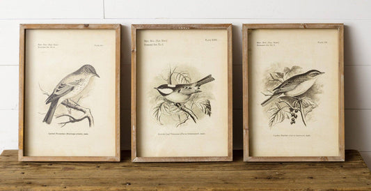 Fur Wood Framed Vintage Bird Prints – 15.75” x 11.75”