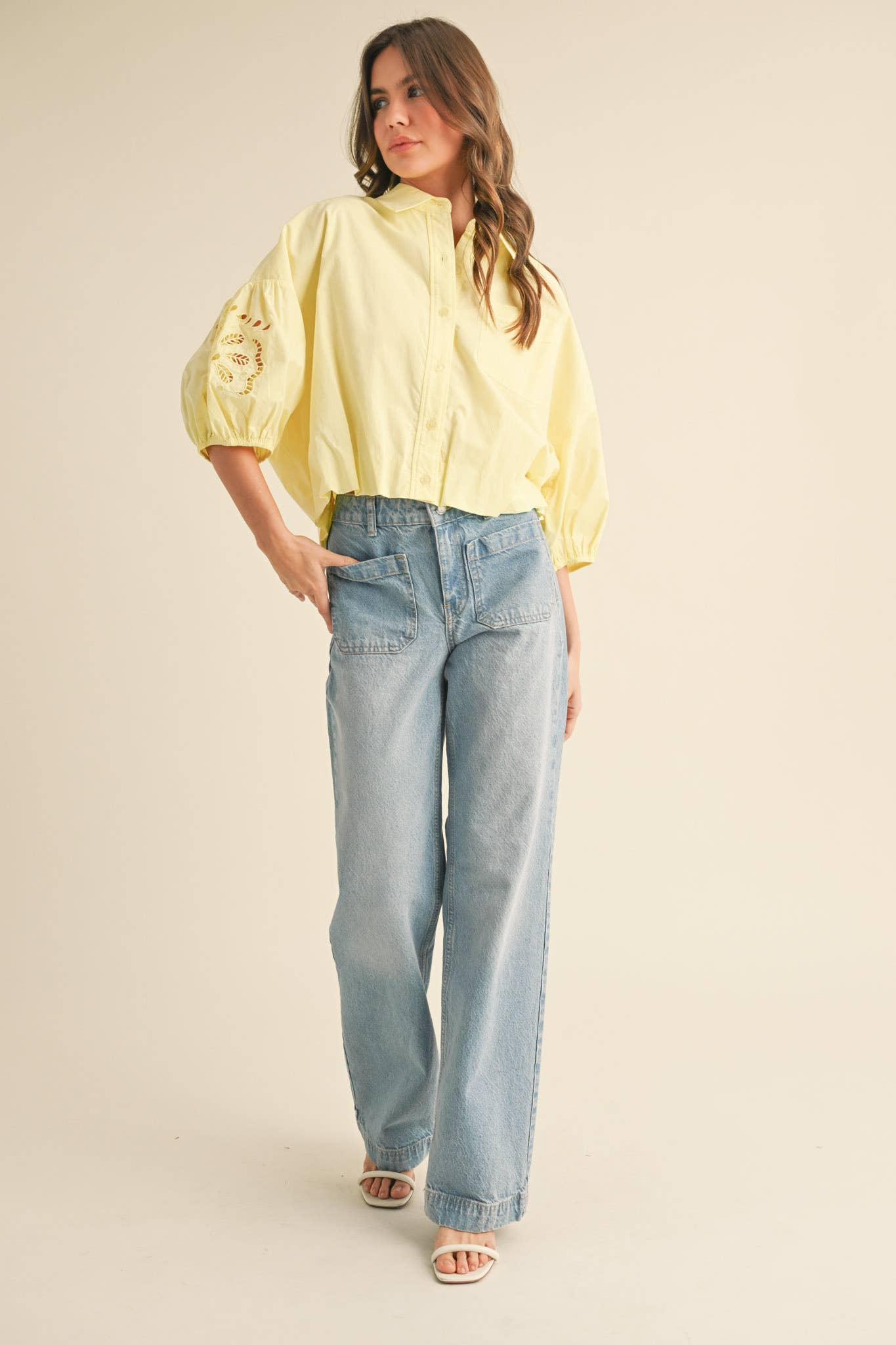 Eyelet Embroidered Bubble Sleeve Top