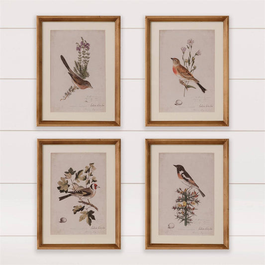 Antique Bird Prints – Fur Wood Frame, 15.75” x 12”