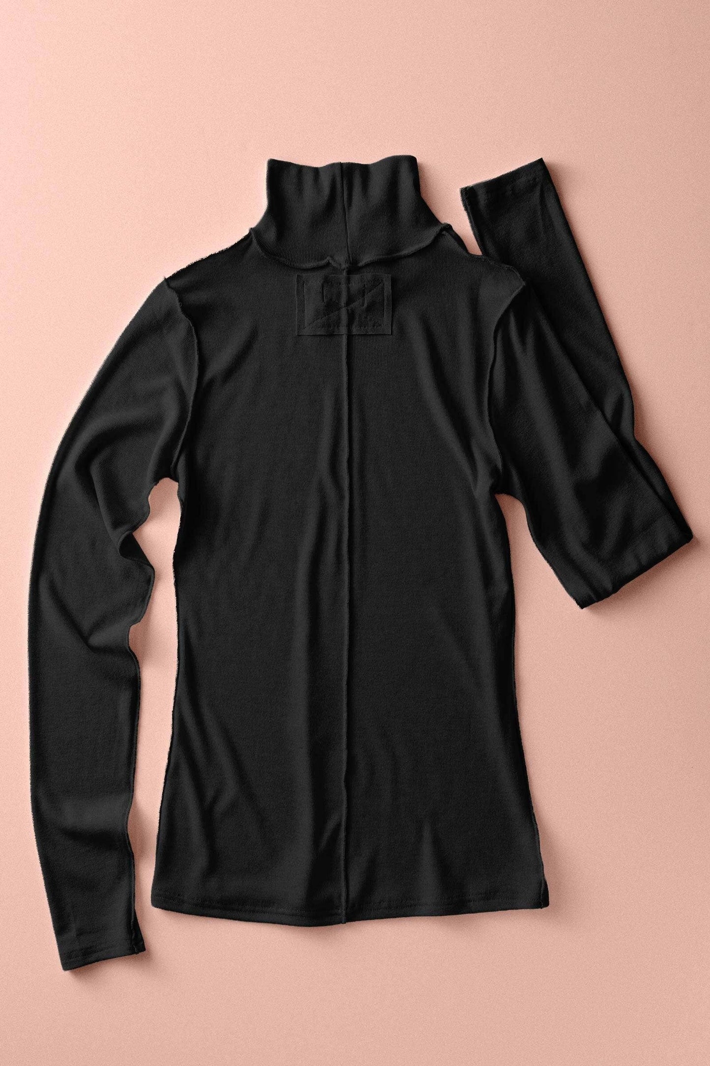 Contrast Seam Turtleneck Knit Top