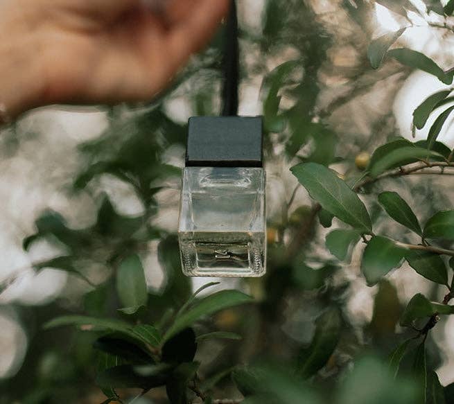 Luxury Car Diffuser & Small‑Space Hanging Freshener
