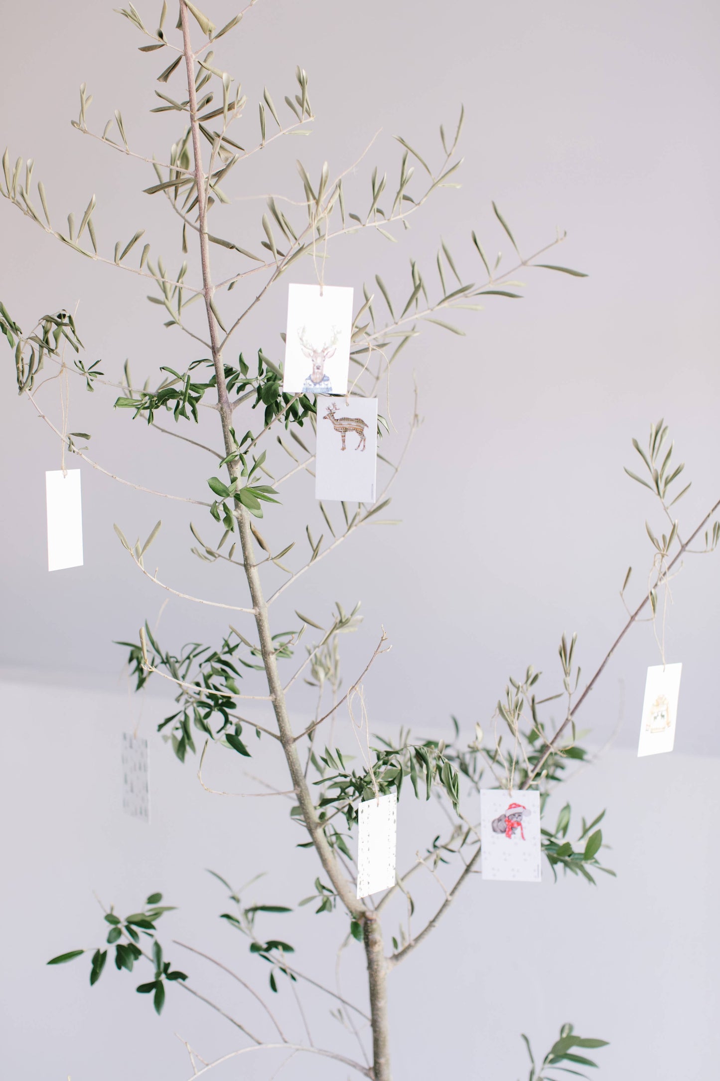 Christmas Dog Variety Gift Tag - Box Set