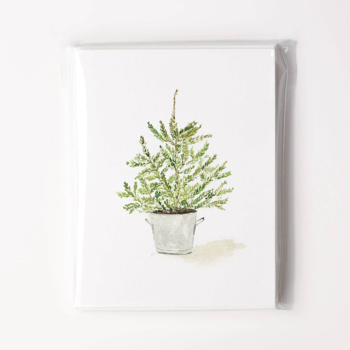 Evergreen Christmas assorted notecard set