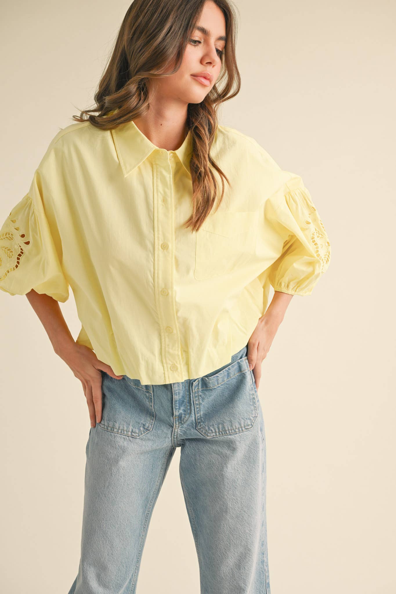 Eyelet Embroidered Bubble Sleeve Top