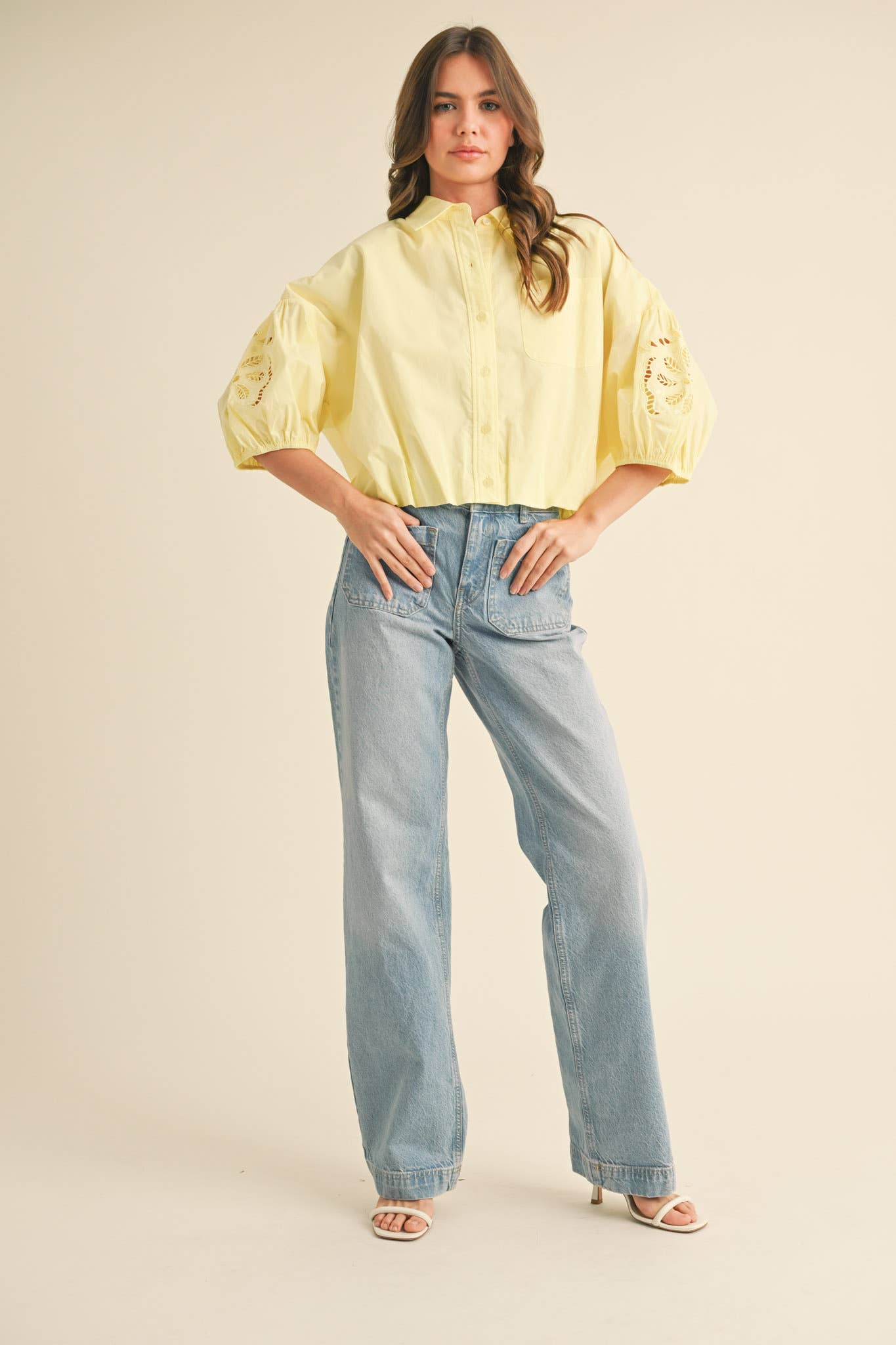 Eyelet Embroidered Bubble Sleeve Top