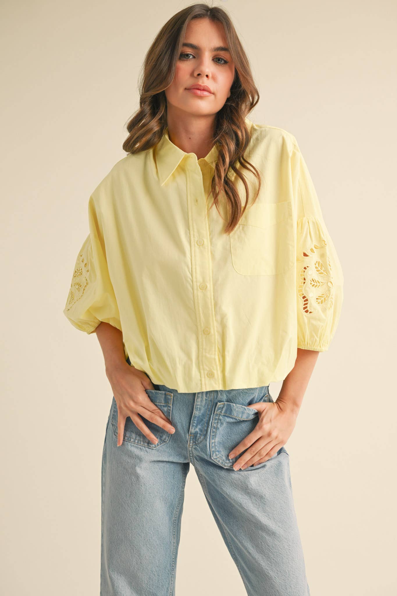 Eyelet Embroidered Bubble Sleeve Top