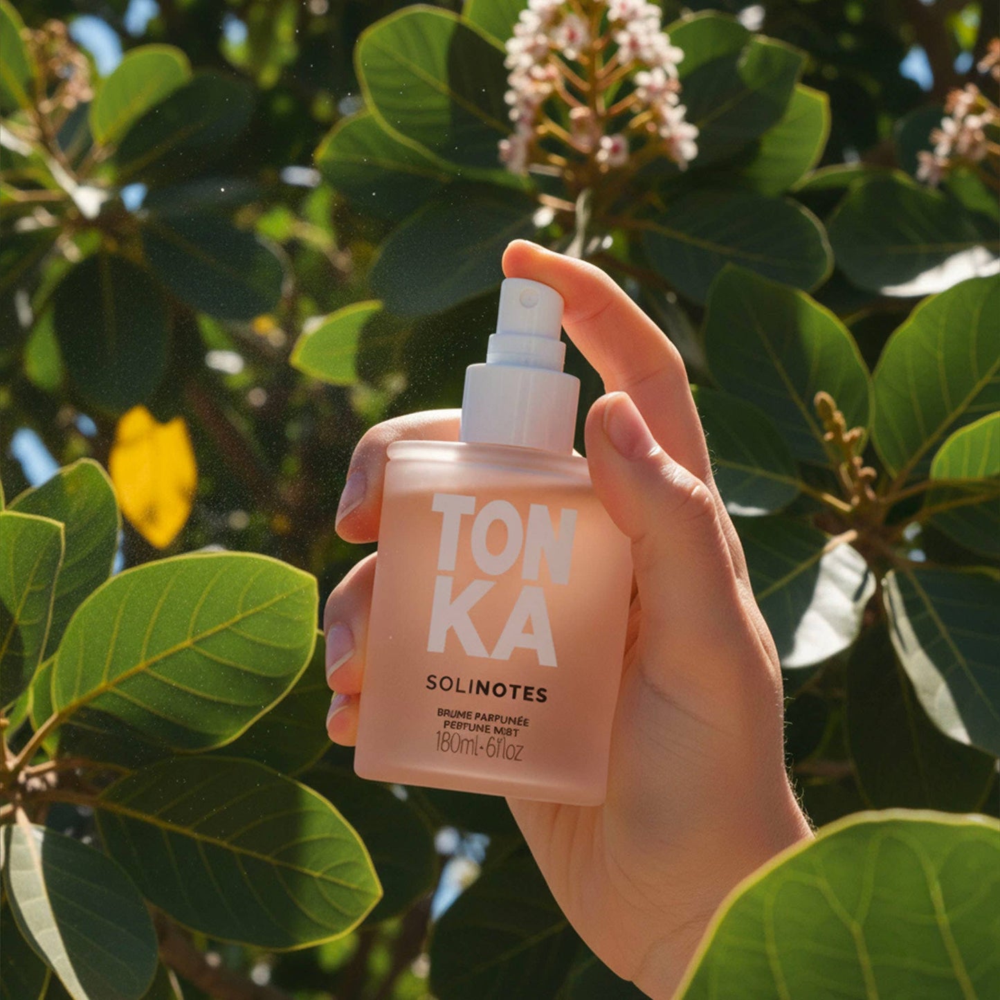Tonka Perfume Mist 6oz