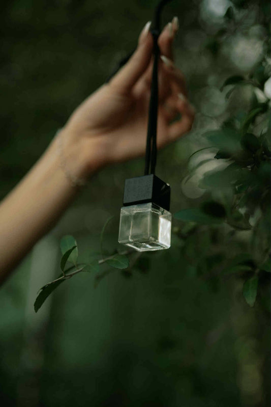 Luxury Car Diffuser & Small‑Space Hanging Freshener
