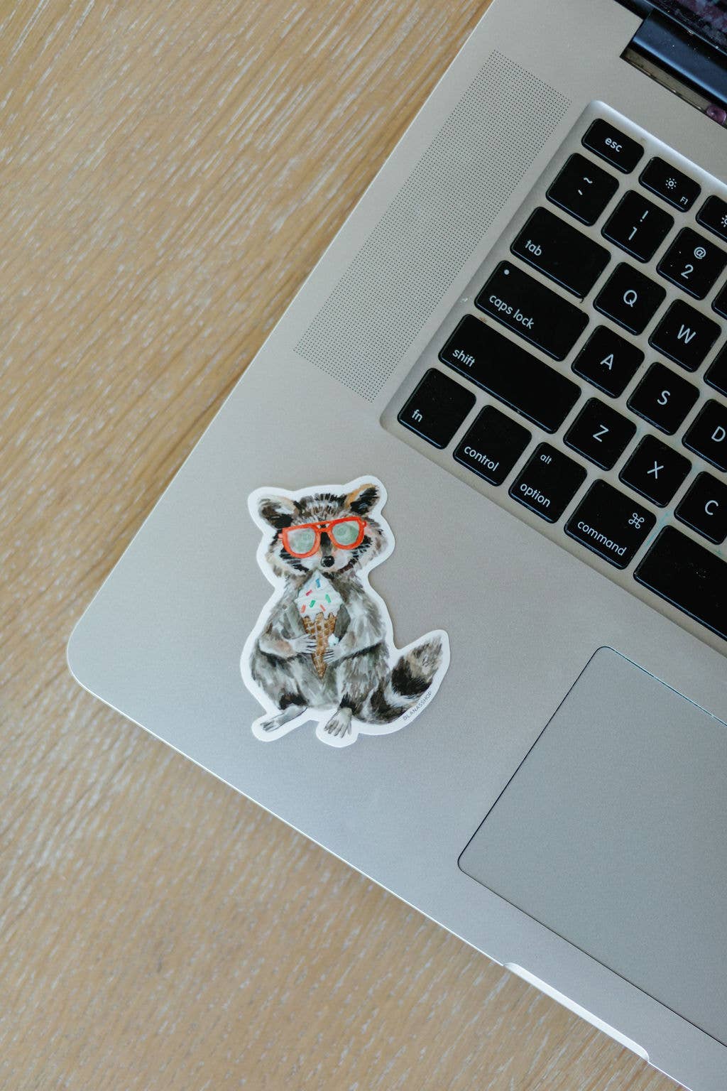 Raccoon with Ice Cream Sticker