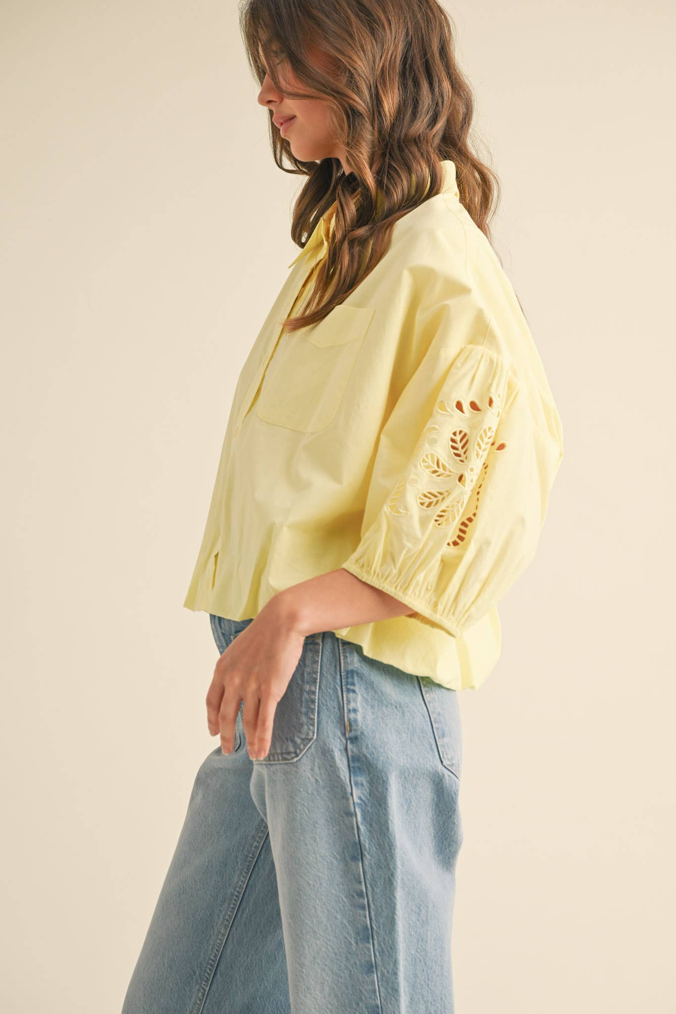Eyelet Embroidered Bubble Sleeve Top