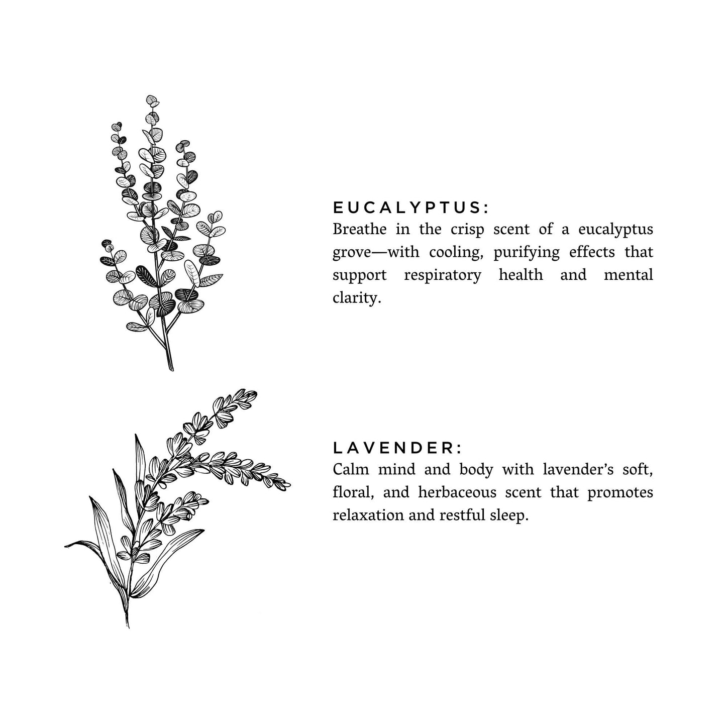Eucalyptus + Lavender - 3-Wick Non-Toxic Candle