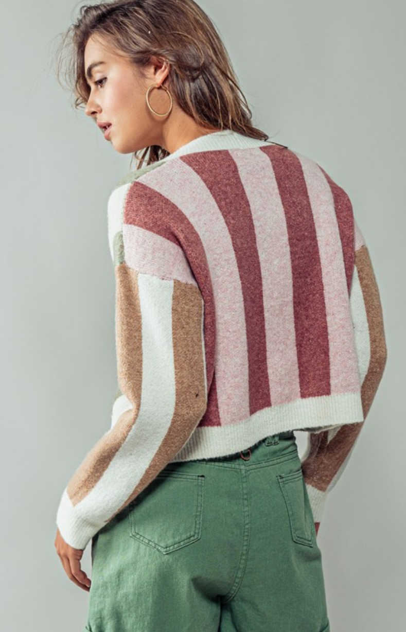 Gorgeous Earth Tone Striped Cardigan