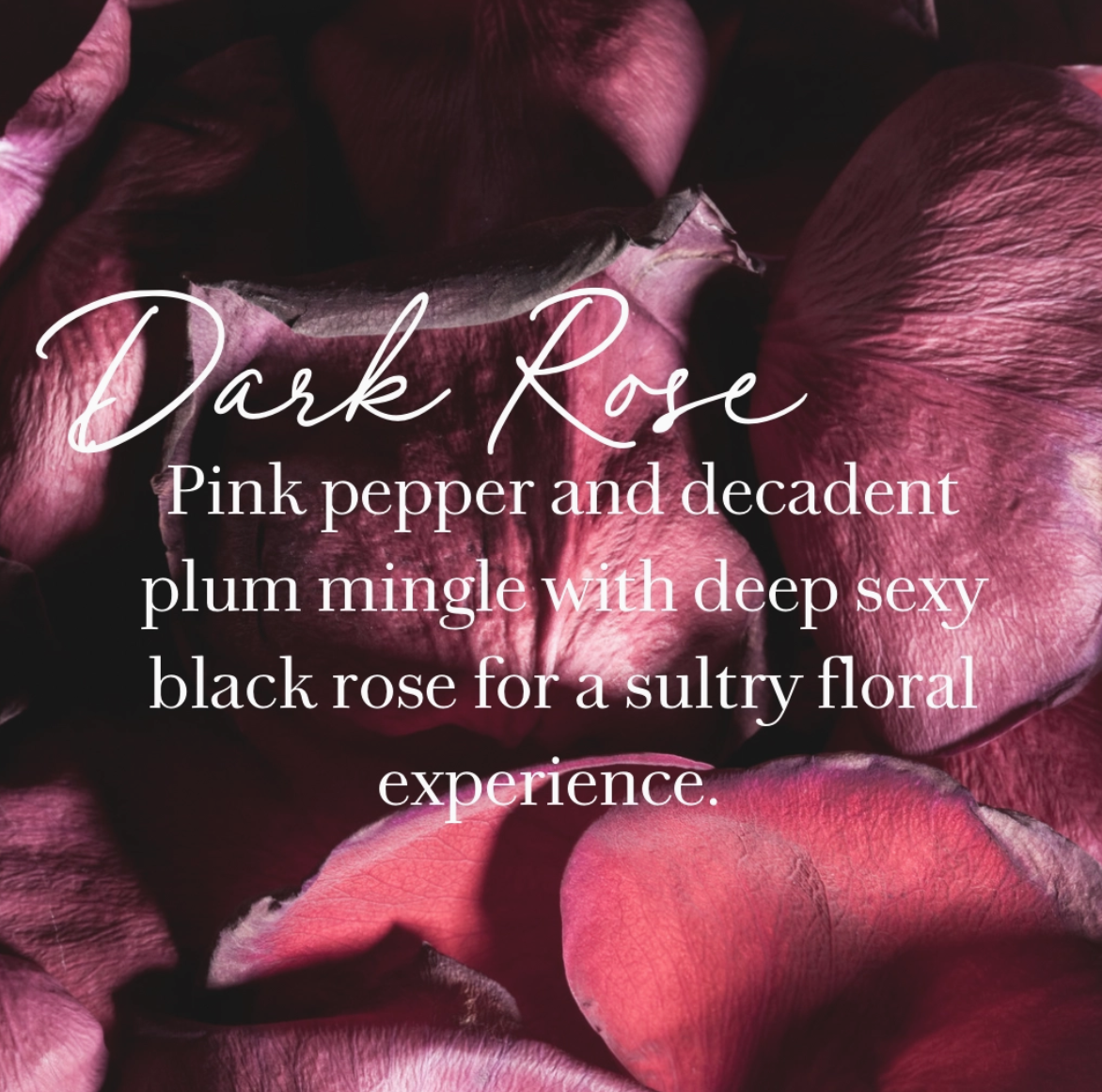 Dark Rose - Roll-On Perfume/10mls