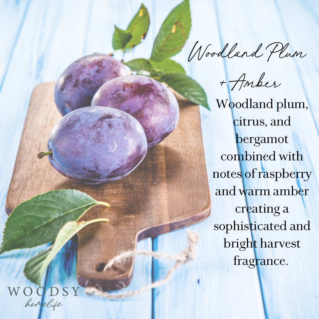 Woodland Plum & Amber-Solid Brass 14oz Soy Candle