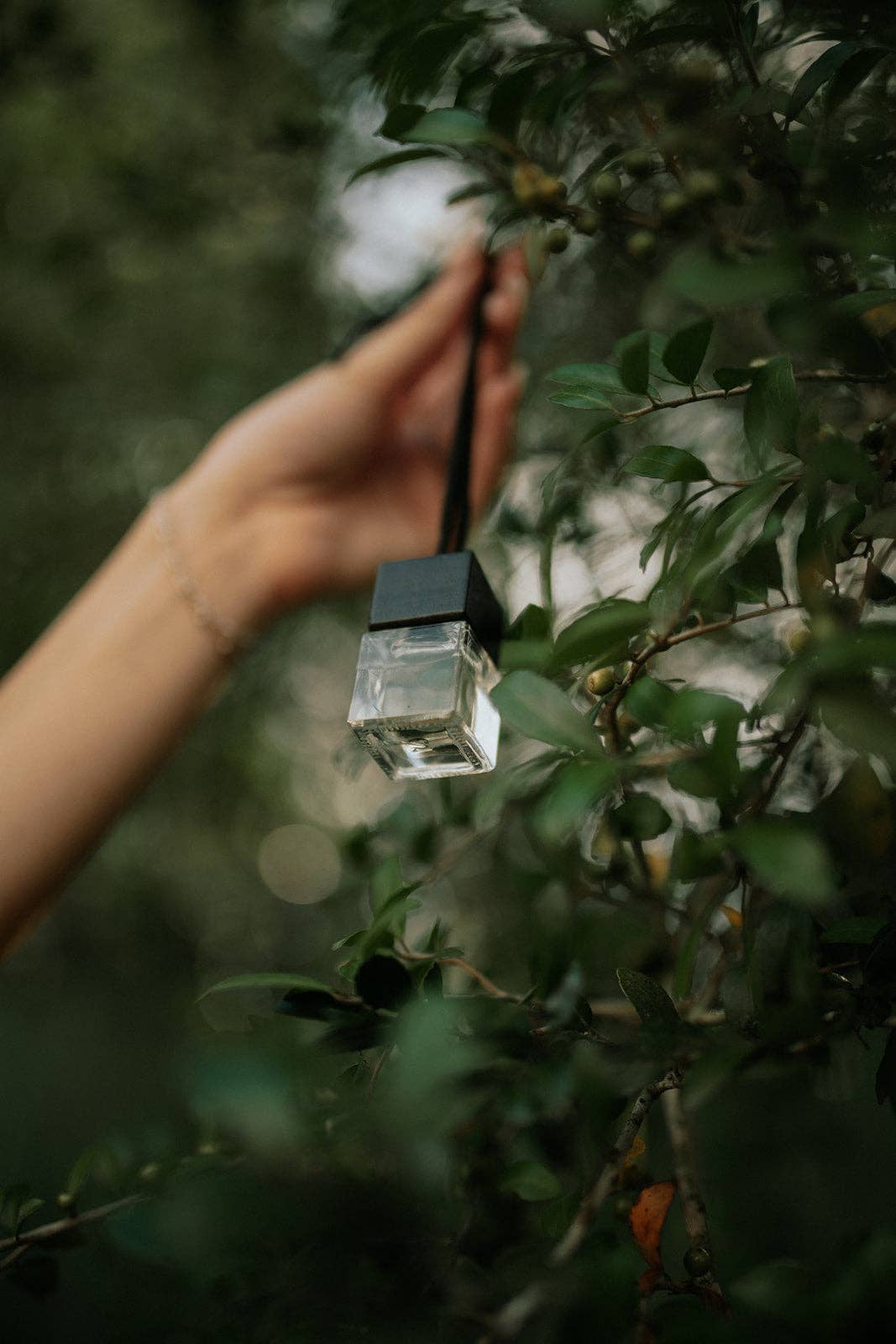 Luxury Car Diffuser & Small‑Space Hanging Freshener