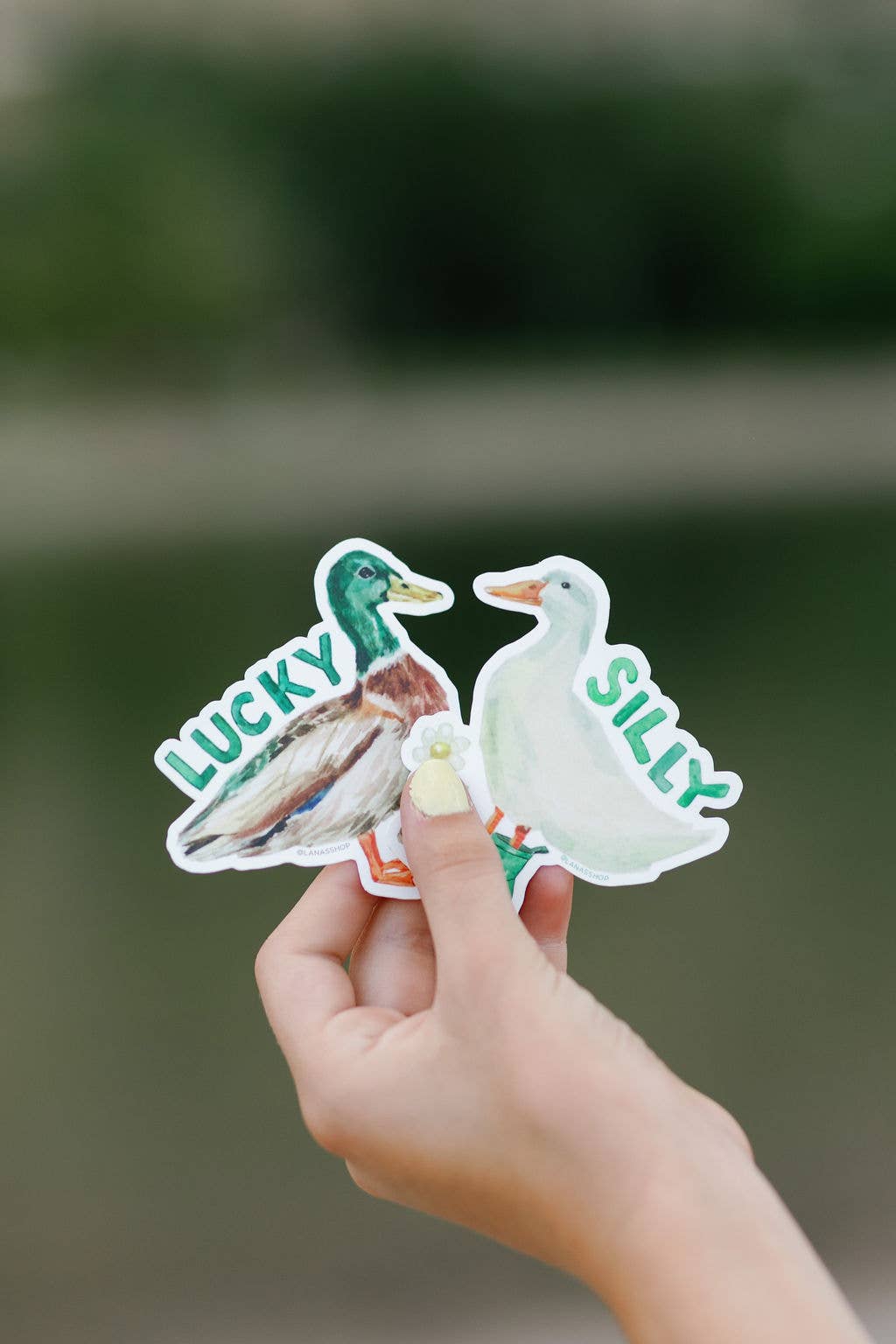 Lucky Duck Sticker