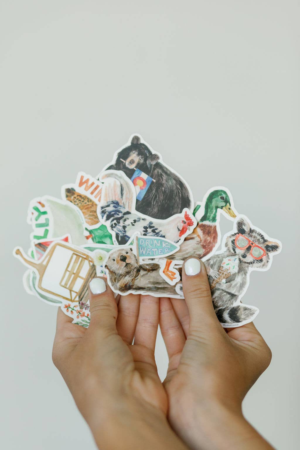 Wingin' It Chicken Sticker
