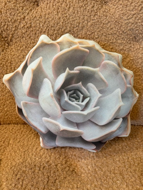 White Rose Succulent Pillow 10"